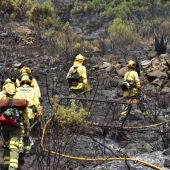 Bomberos sofocando un incendio forestal en Marbella, Málaga