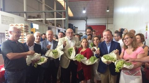 Corte del primer racimo de la Uva Embolsada del Vinalop&oacute;