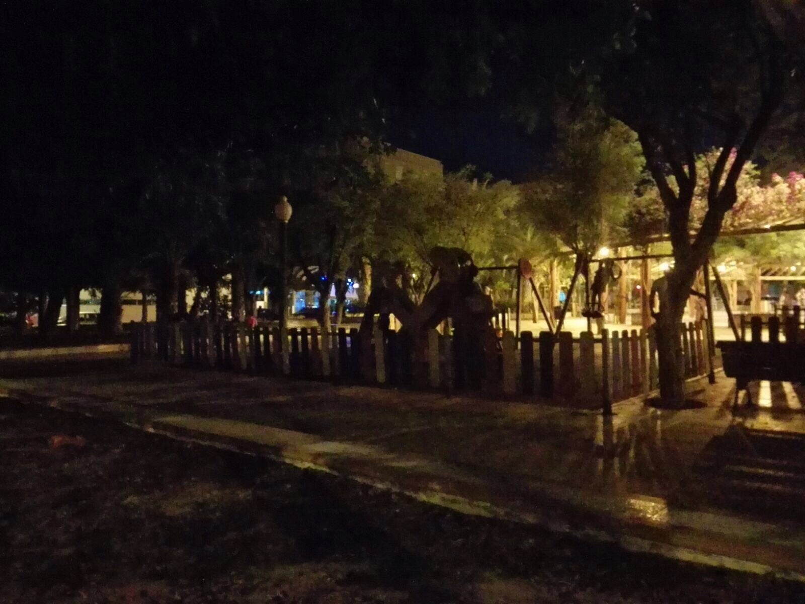 Ilicitanos por Elche insta al tripartito a que se recupere la iluminación en parques y jardines por la noche Ilicitanos por Elche insta al tripartito a que se recupere la iluminación en parques y jardines por la noche