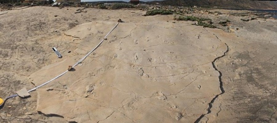 Huellas halladas en Creta Huellas halladas en Creta