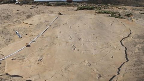 Huellas halladas en Creta