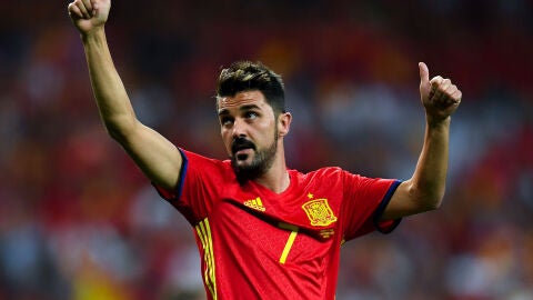 David Villa saluda a la afici&oacute;n espa&ntilde;ola con la Selecci&oacute;n
