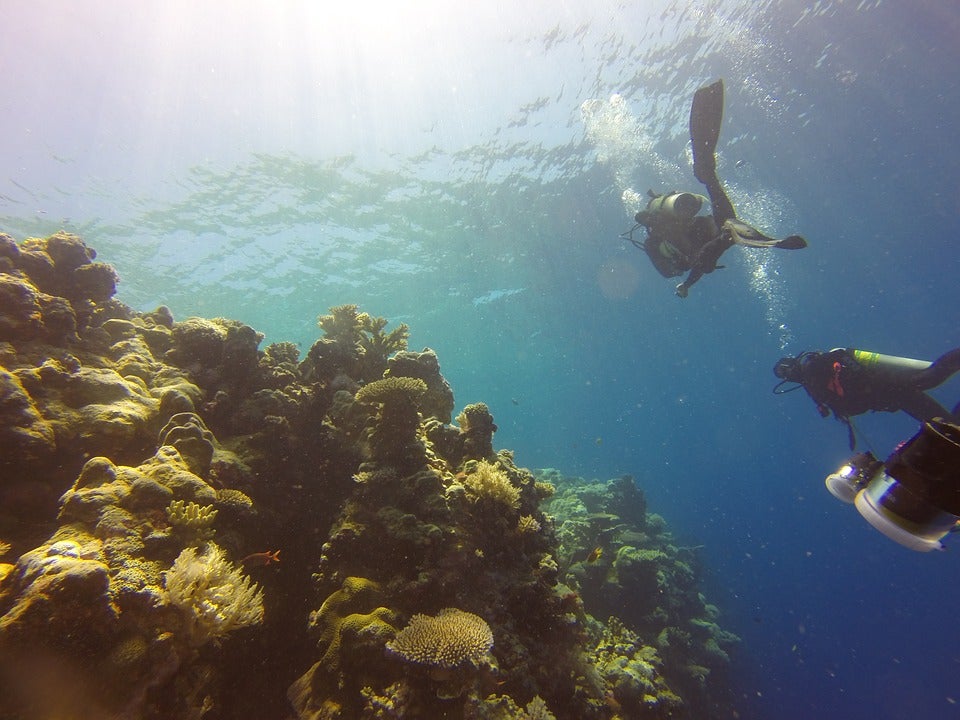 La ONU denuncia la pérdida de la mitad de arrecifes de coral del mundo La ONU denuncia la pérdida de la mitad de arrecifes de coral del mundo