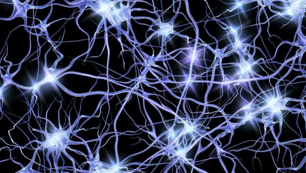 Oleadas de actividad neuronal dan nuevas pistas sobre el alzheimer