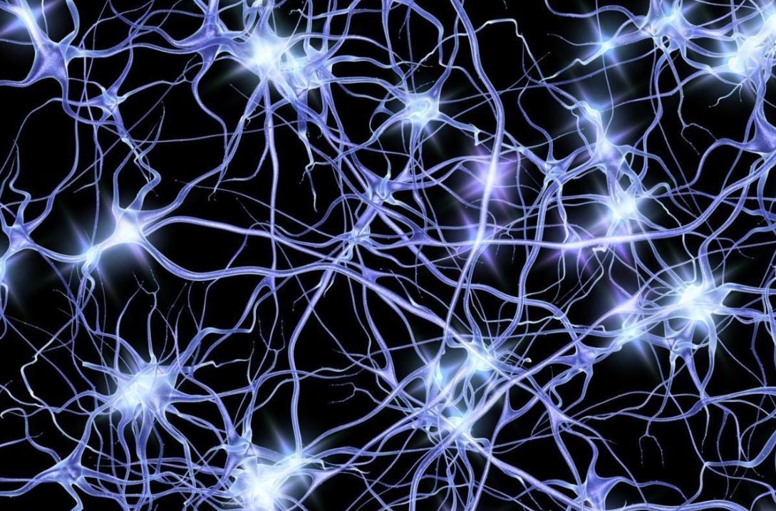 Eureka: Las neuronas espejo Eureka: Las neuronas espejo