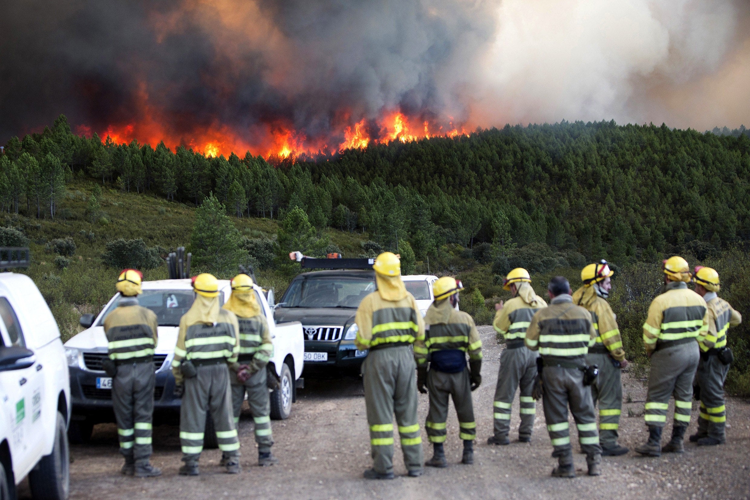 Los bomberos forestales reclaman más formación para combatir los grandes incendios episode artwork