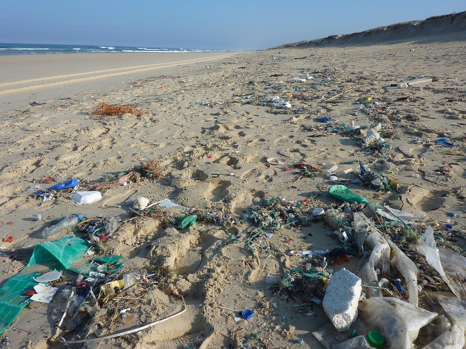 Señales del Fin del Mundo: Marea con toneladas de basura Señales del Fin del Mundo: Marea con toneladas de basura