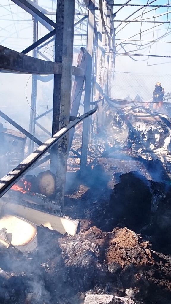 Los bomberos sofocan un incendio en un antiguo vivero de Elche Los bomberos sofocan un incendio en un antiguo vivero de Elche
