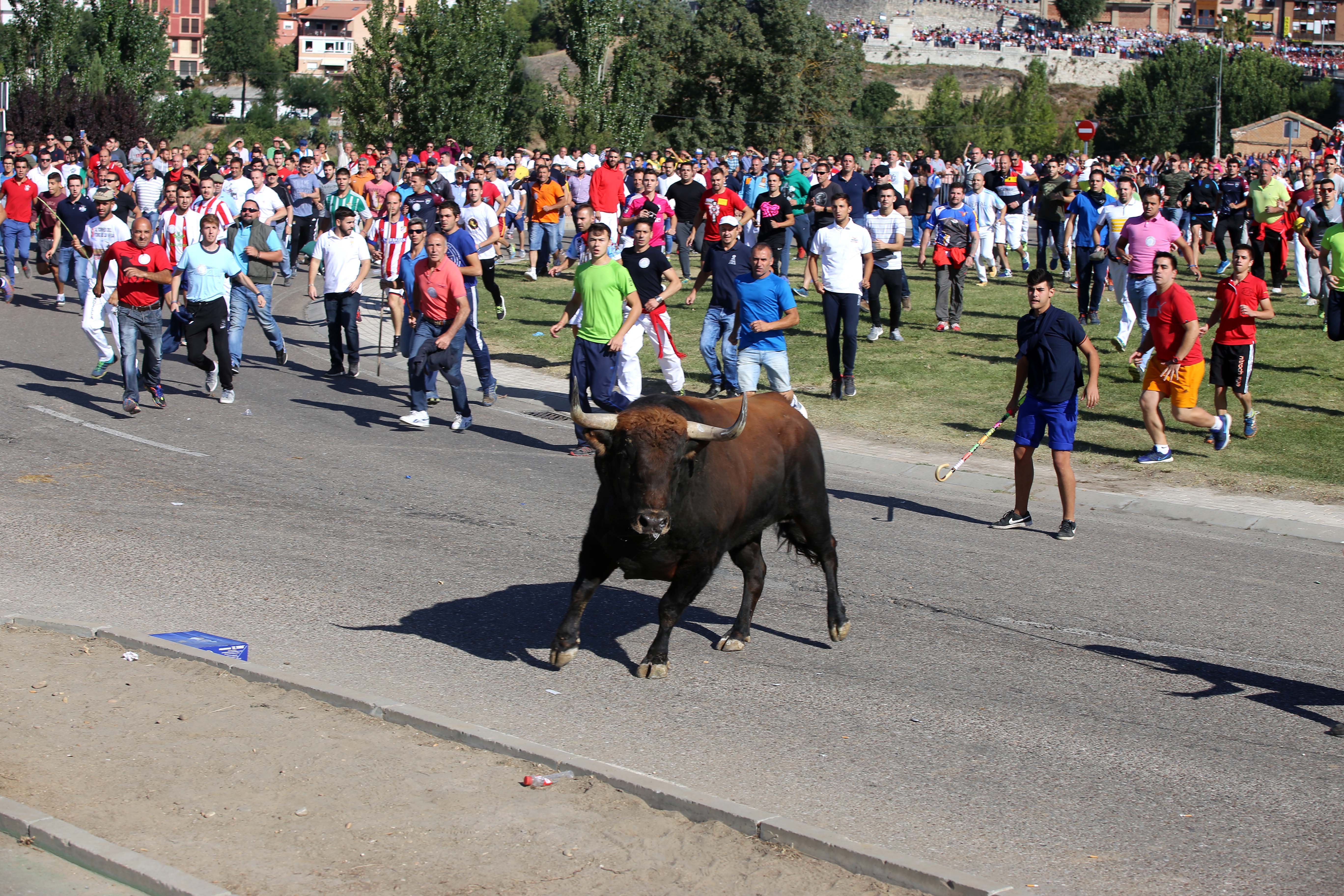 El Toro de la Vega deja un corneado en un festejo sin incidentes de orden público El Toro de la Vega deja un corneado en un festejo sin incidentes de orden público