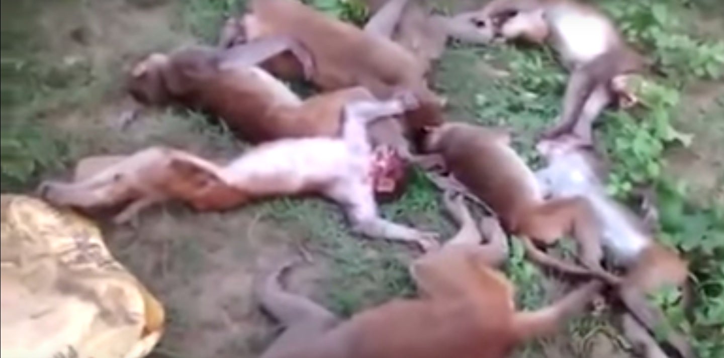 Tertulia Zona Cero: Morir de miedo, ¿es posible? Tertulia Zona Cero: Morir de miedo, ¿es posible?