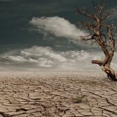 En 2030 habrá más de 500 millones de pobres a causa de la desertificación