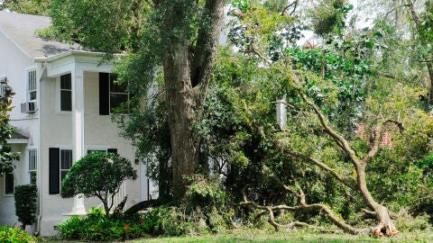 Ocho ancianos mueren en un asilo de Florida por quedarse sin luz tras el paso del hurac&aacute;n Irma