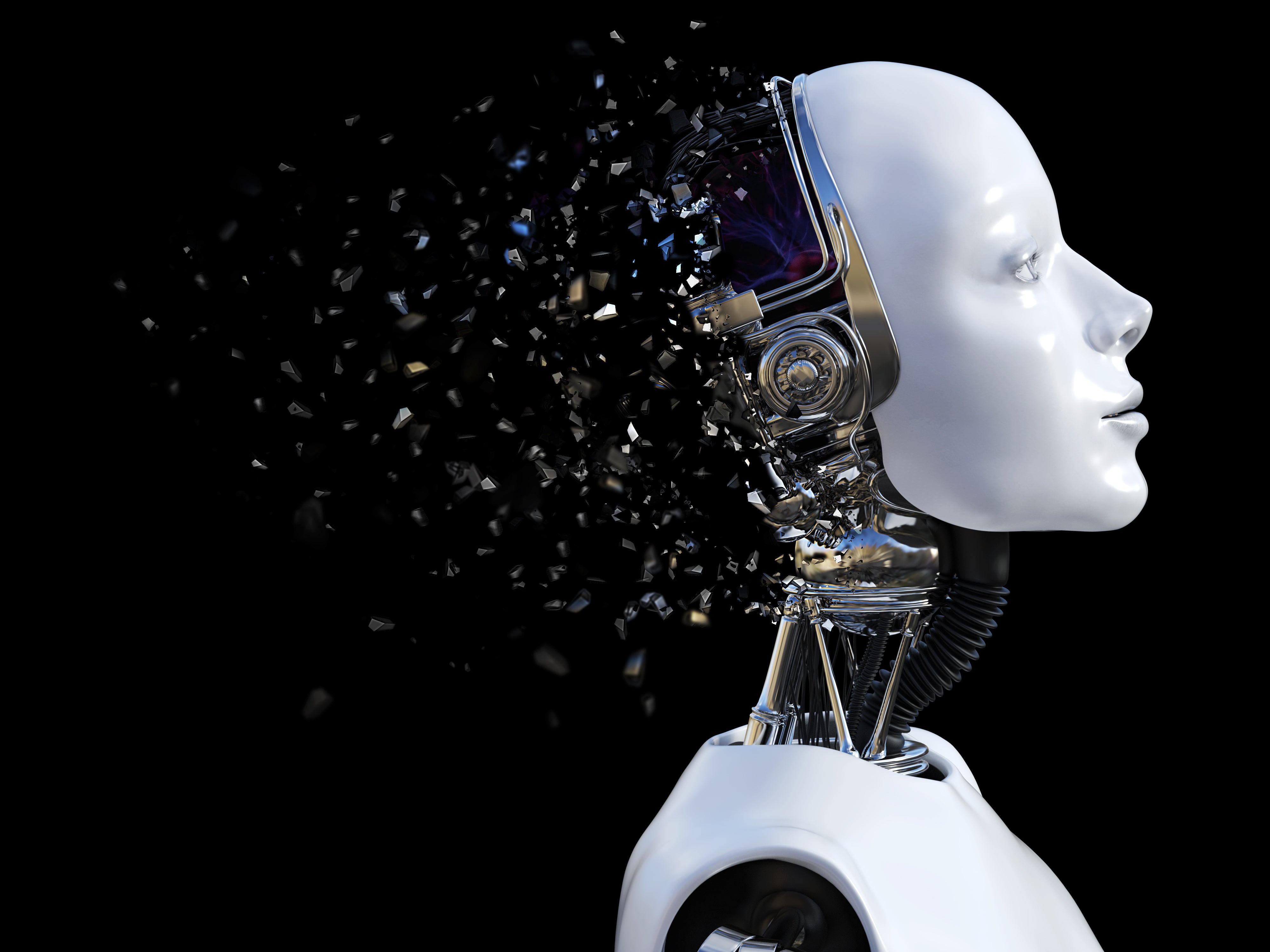 Punta Norte: Los robots que crearon un lenguaje clandestino Punta Norte: Los robots que crearon un lenguaje clandestino