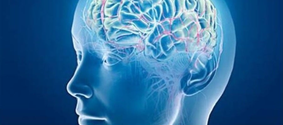 Una prueba permite determinar las capacidades cognitivas de la esquizofrenia en apenas 20 minutos Una prueba permite determinar las capacidades cognitivas de la esquizofrenia en apenas 20 minutos