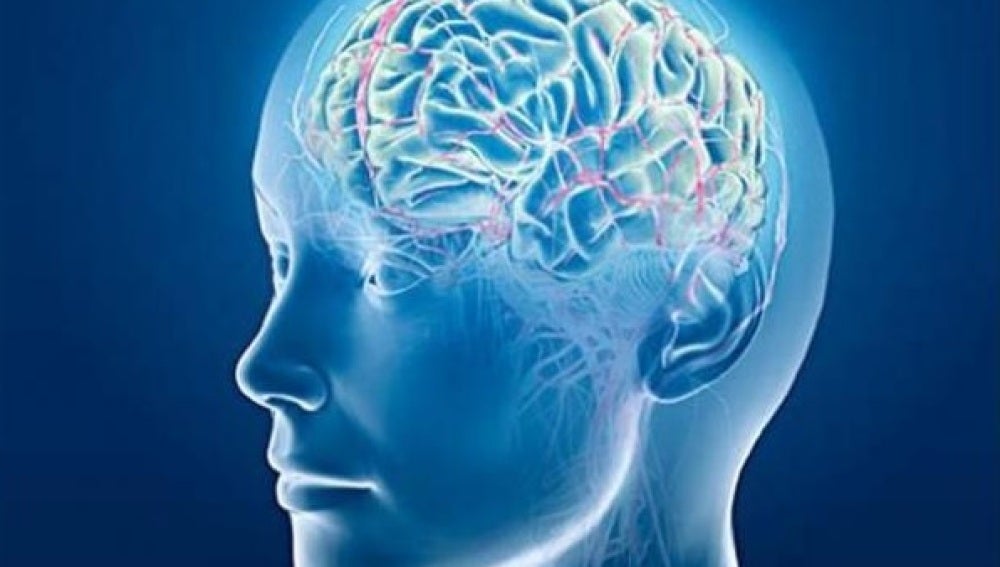 Una prueba permite determinar las capacidades cognitivas de la esquizofrenia en apenas 20 minutos