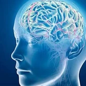 Una prueba permite determinar las capacidades cognitivas de la esquizofrenia en apenas 20 minutos Una prueba permite determinar las capacidades cognitivas de la esquizofrenia en apenas 20 minutos