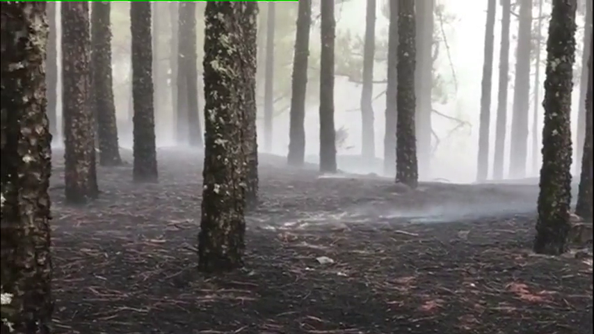 Gran Canaria En La Onda Viernes 19/01/2018 Gran Canaria En La Onda Viernes 19/01/2018