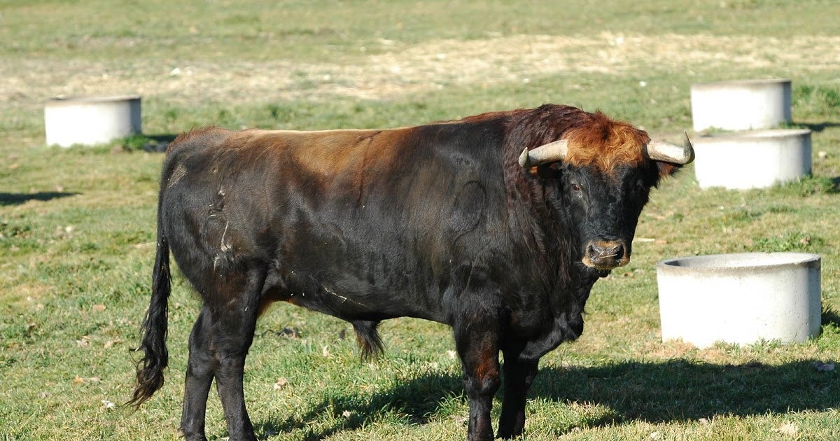 Aquí en la Onda Navarra. Va por ustedes. 21/09/2017 Aquí en la Onda Navarra. Va por ustedes. 21/09/2017