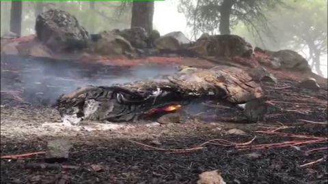 Bajo control el incendio de Gran Canaria 