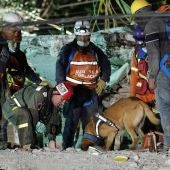 Brigadas de rescate continúan trabajando entre los escombros en México