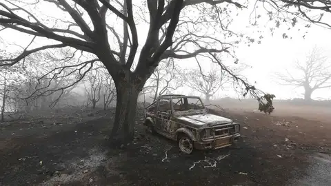 Un coche calcinado por el incendio Un coche calcinado por el incendio