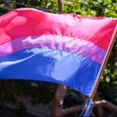 Imagen de archivo de una bandera bisexual