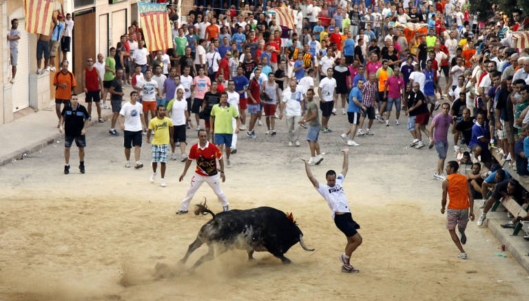 La Diputación de Castellón subvenciona la organización de 114 festejos taurinos por valor de más de 9.000 euros La Diputación de Castellón subvenciona la organización de 114 festejos taurinos por valor de más de 9.000 euros