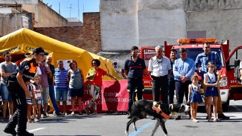 SEMANA PREVENCI&Oacute;N INCENDIOS