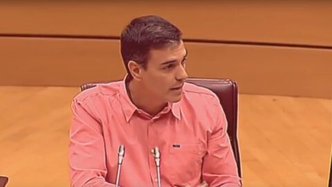 Pedro S&aacute;nchez