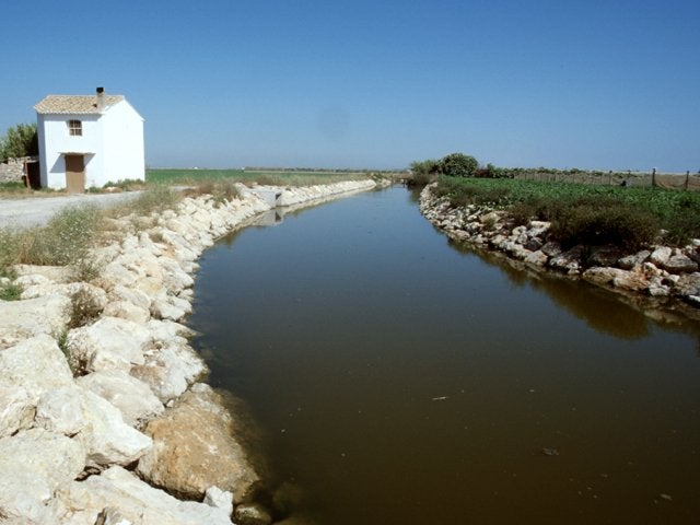 La Conselleria de Agricultura licita las obras en el Primer Canal de Levante de Elche La Conselleria de Agricultura licita las obras en el Primer Canal de Levante de Elche