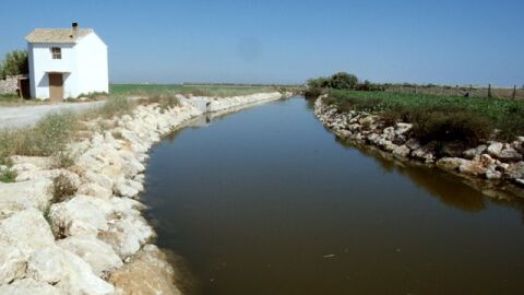 Primer Canal de Levante de Elche