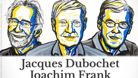 Nobel de Qu&iacute;mica
