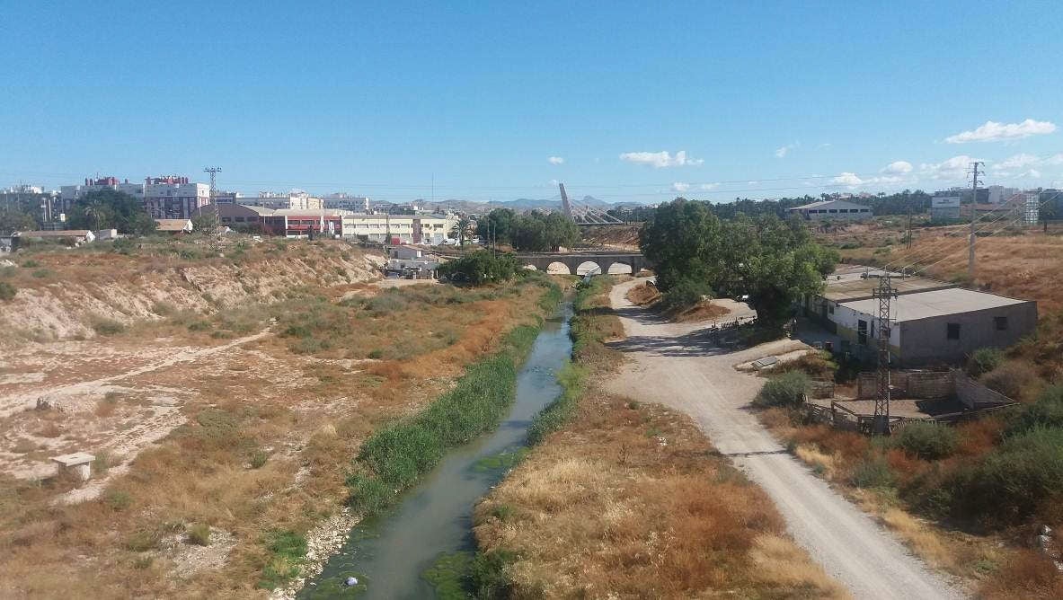 Elche proyecta un filtro natural de carrizo en el río Vinalopó para contener la basura arrastrada por las lluvias Elche proyecta un filtro natural de carrizo en el río Vinalopó para contener la basura arrastrada por las lluvias
