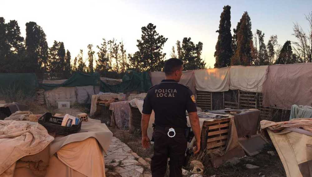 Criadero ilegal de aves en Elche