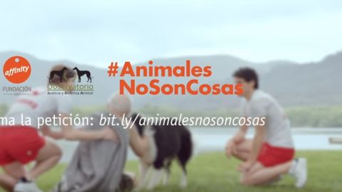 campa&ntilde;a de Fundaci&oacute;n Affinity