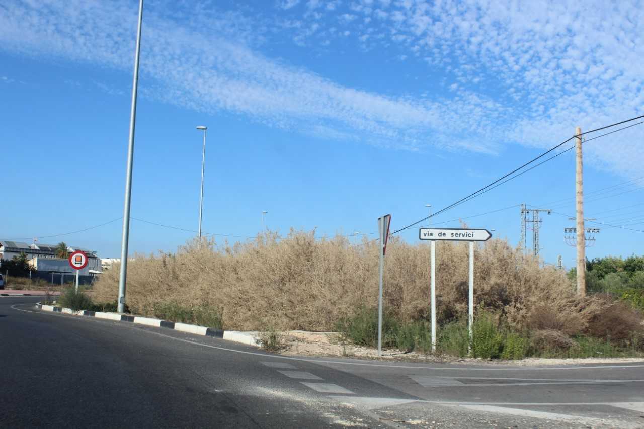 El PP de Elche reclama al tripartito la eliminación de la broza de las zonas de acceso a la ciudad El PP de Elche reclama al tripartito la eliminación de la broza de las zonas de acceso a la ciudad