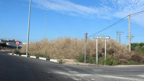 Maleza en los m&aacute;rgenes de la Ronda Sur de Elche