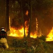 Operarios del sevicio de extinción de incendios trabajan en la zona de Zamanes, Vigo