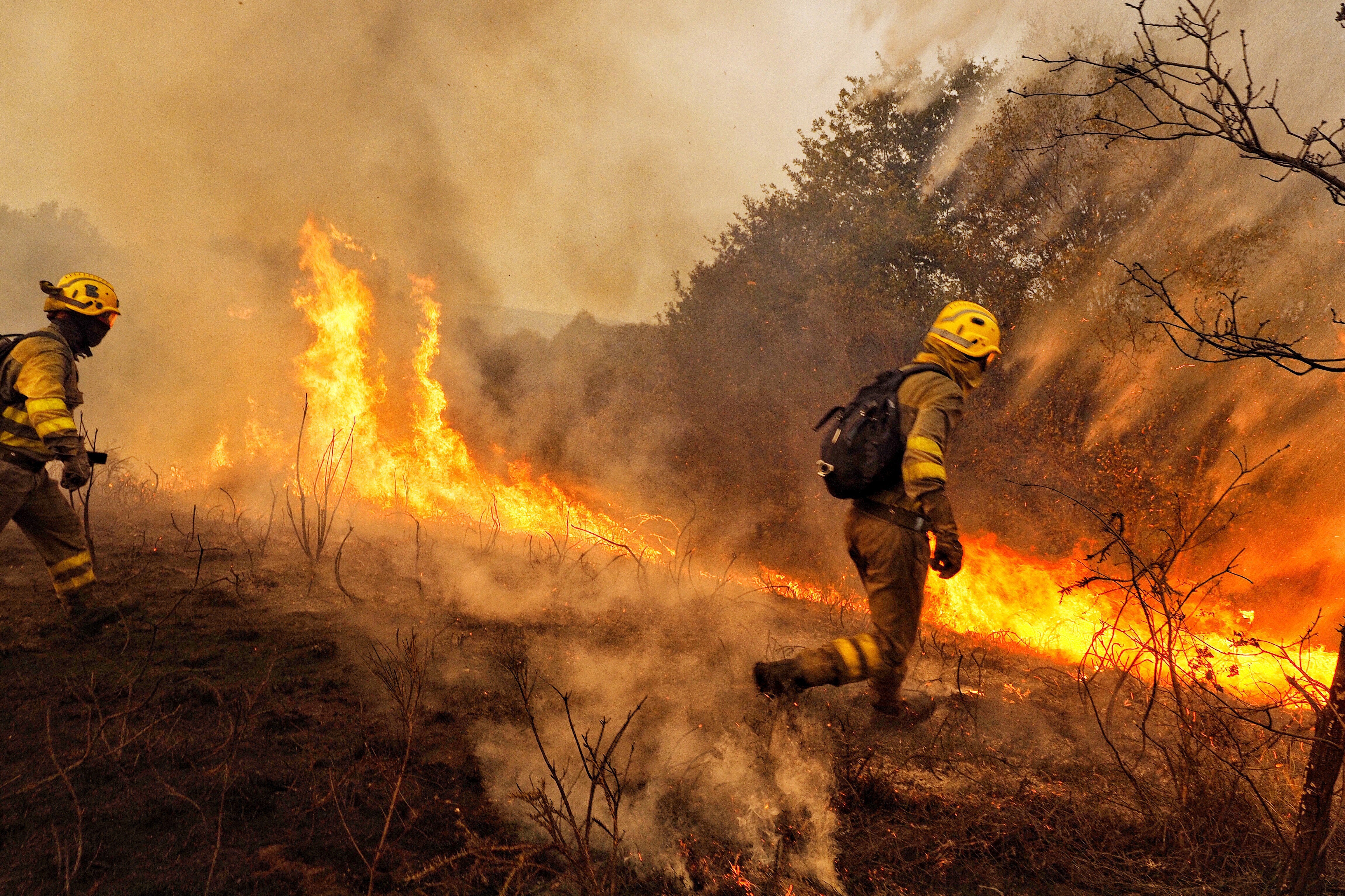 Quedan 15 incendios activos con riesgo para la población en Galicia Quedan 15 incendios activos con riesgo para la población en Galicia
