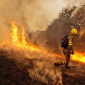 Un operario de los servicios de extinción trabaja junto a las llamas que avanzan en la localidad de Constante, Lugo
