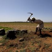 Agricultura en ambientes de extrema pobreza