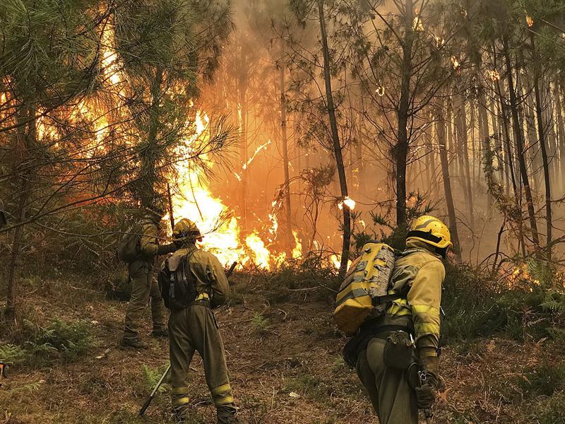 Cuatro focos intencionados causaron el fuego de 1.500 hectáreas de Ponteareas, Pontevedra Cuatro focos intencionados causaron el fuego de 1.500 hectáreas de Ponteareas, Pontevedra