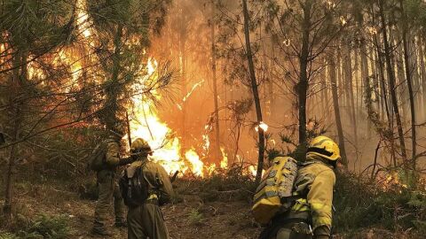 Bomberos trabajando en el incendio