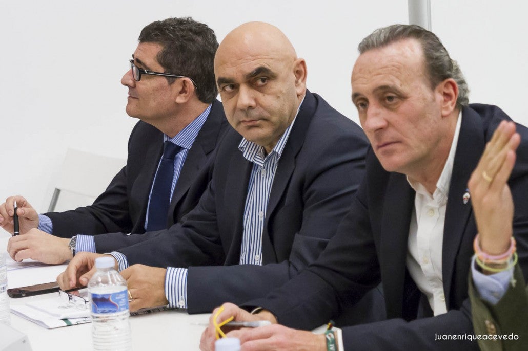 "Es indudable que la Fundación del Elche ha estado pervertida" "Es indudable que la Fundación del Elche ha estado pervertida"