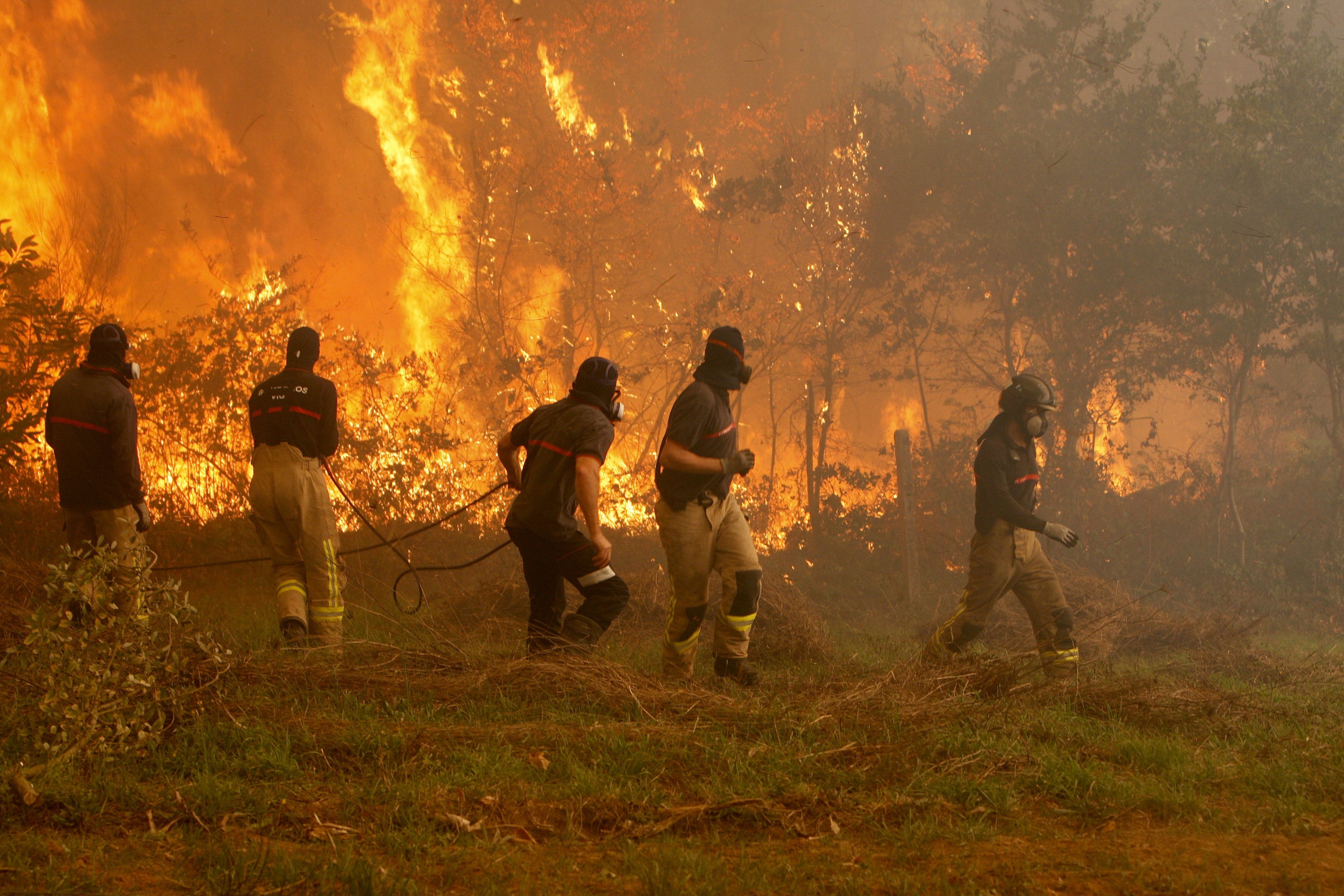 Quince puntos en Galicia sufren incendios que ponen en riesgo a la población Quince puntos en Galicia sufren incendios que ponen en riesgo a la población