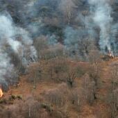 Los incendios en Asturias bajan a 27 