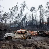 Incendios en Galicia Incendios en Galicia