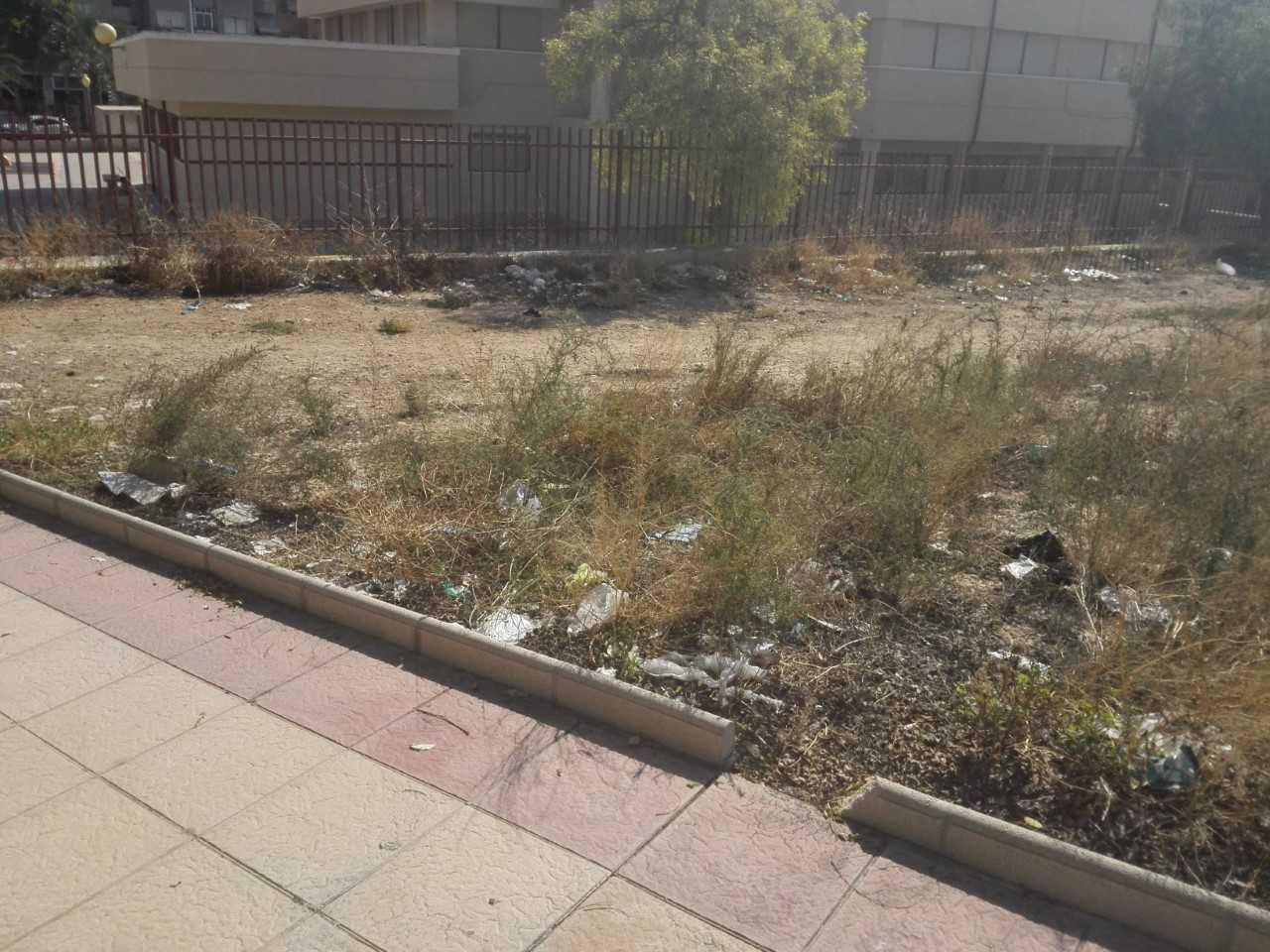 El Ayuntamiento de Sagunto pone a subasta inmuebles y parcelas urbanas El Ayuntamiento de Sagunto pone a subasta inmuebles y parcelas urbanas