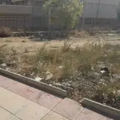 Parcela contigua a los colegios Vicente Blasco Ibañez y Julio María López Orozco de Elche Parcela contigua a los colegios Vicente Blasco Ibañez y Julio María López Orozco de Elche