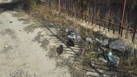 Acumulaci&oacute;n de basura junto a los colegios Vicente Blasco Iba&ntilde;ez y Julio Mar&iacute;a L&oacute;pez Orozco